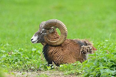 万代南梦宫注册“最后的回忆”商标 或推游戏新作